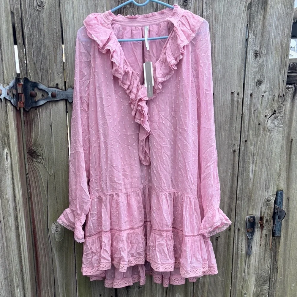 Anthropologie Pink Ruffle Swiss-Dot Long Sleeve Dress